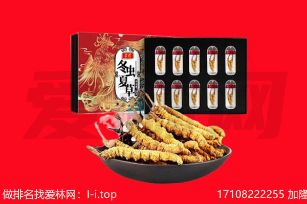 昭苏县回收虫草.jpg